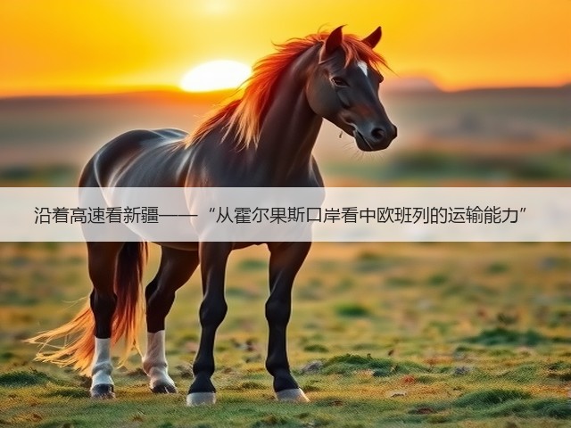 沿着高速看新疆——“从霍尔果斯口岸看中欧班列的运输能力”(图1) 沿着高速看新疆——“从霍尔果斯口岸看中欧班列的运输能力”(图1)