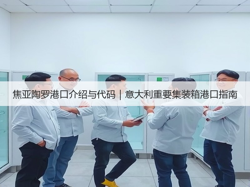 焦亚陶罗港口介绍与代码|意大利重要集装箱港口指南 焦亚陶罗港口介绍与代码|意大利重要集装箱港口指南