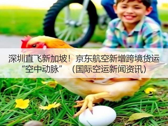 深圳直飞新加坡!京东航空新增跨境货运 “空中动脉”(国际空运新闻资讯)(图1) 深圳直飞新加坡!京东航空新增跨境货运 “空中动脉”(国际空运新闻资讯)(图1)