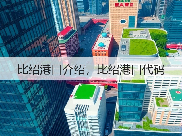 比绍港口介绍，比绍港口代码(图3)