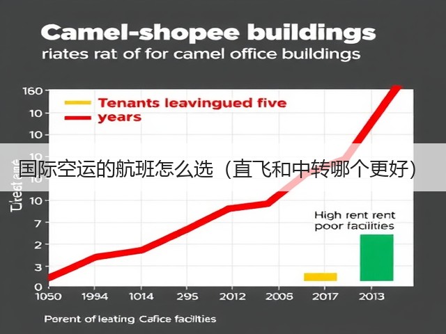 国际空运的航班怎么选(直飞和中转哪个更好)(图3) 国际空运的航班怎么选(直飞和中转哪个更好)(图3)
