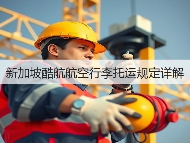 新加坡酷航航空行李托运规定详解(图2)