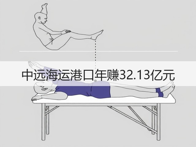 中远海运港口年赚32.13亿元(图2) 中远海运港口年赚32.13亿元(图2)