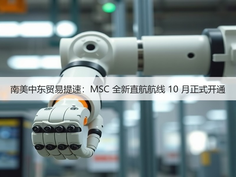南美中东贸易提速：MSC 全新直航航线 10 月正式开通