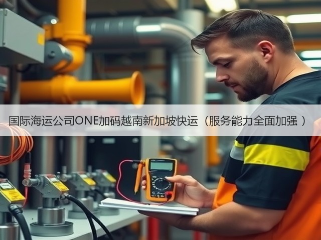 国际海运公司ONE加码越南新加坡快运(服务能力全面加强 )(图3) 国际海运公司ONE加码越南新加坡快运(服务能力全面加强 )(图3)