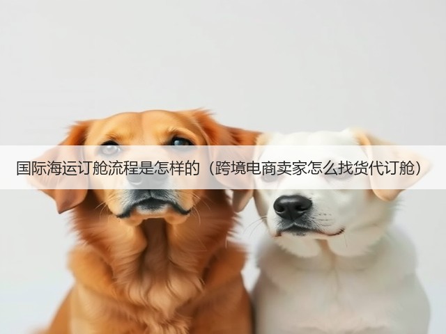 国际海运订舱流程是怎样的(跨境电商卖家怎么找货代订舱)(图3) 国际海运订舱流程是怎样的(跨境电商卖家怎么找货代订舱)(图3)
