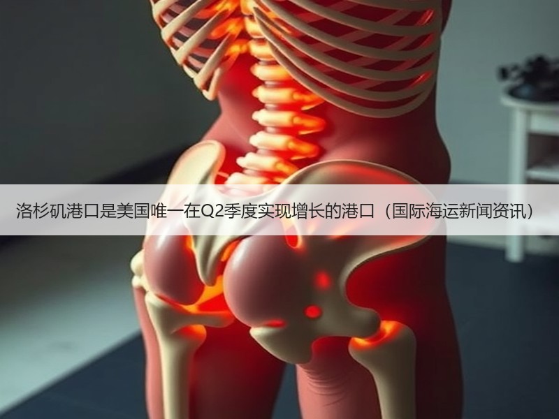洛杉矶港口是美国唯一在Q2季度实现增长的港口（国际海运新闻资讯）