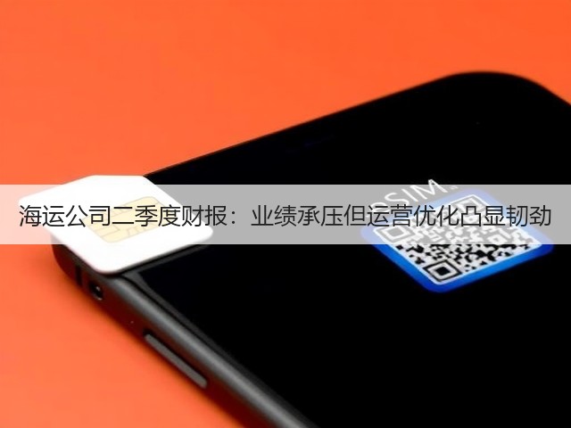海运公司二季度财报:业绩承压但运营优化凸显韧劲(图1) 海运公司二季度财报:业绩承压但运营优化凸显韧劲(图1)