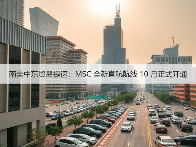 南美中东贸易提速：MSC 全新直航航线 10 月正式开通(图2)
