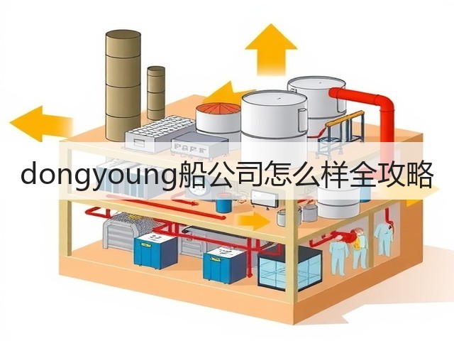 dongyoung船公司怎么样全攻略(图2) dongyoung船公司怎么样全攻略(图2)