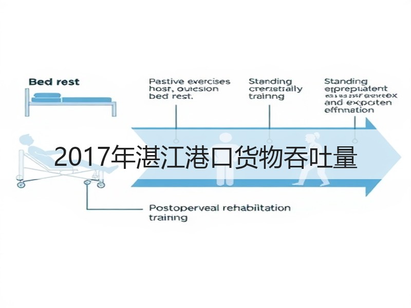 2017年湛江港口货物吞吐量