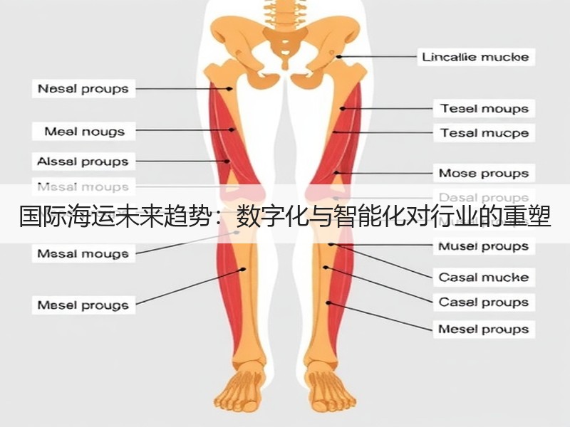 国际海运未来趋势：数字化与智能化对行业的重塑