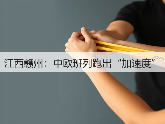 江西赣州:中欧班列跑出“加速度”(图3) 江西赣州:中欧班列跑出“加速度”(图3)