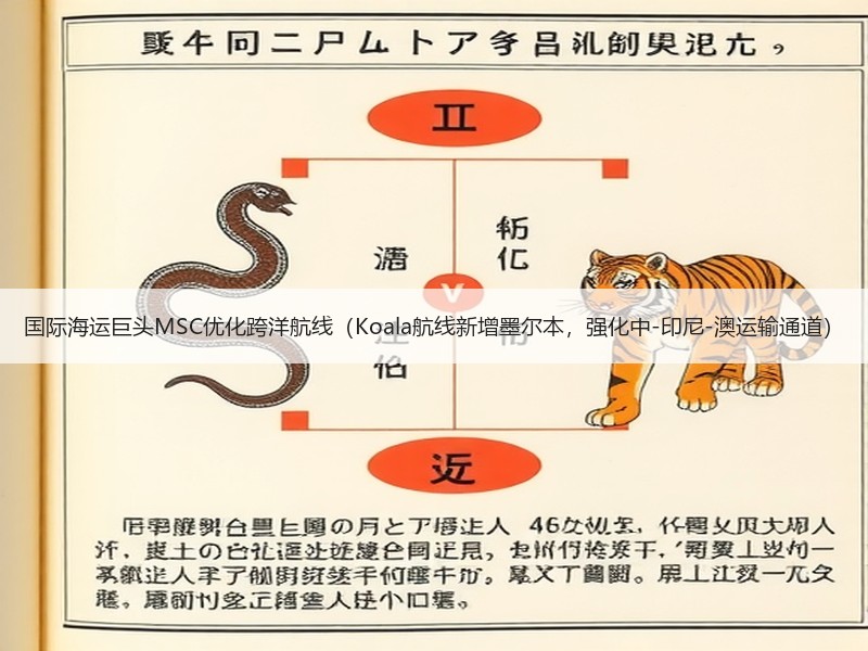 国际海运巨头MSC优化跨洋航线（Koala航线新增墨尔本，强化中-印尼-澳运输通道）