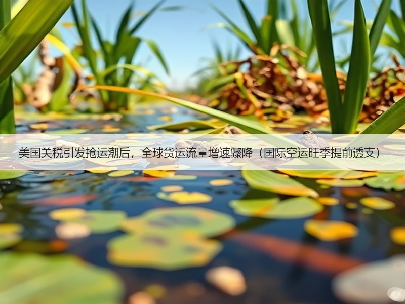 美国关税引发抢运潮后，全球货运流量增速骤降（国际空运旺季提前透支）