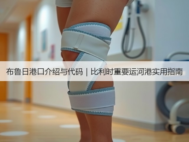 布鲁日港口介绍与代码|比利时重要运河港实用指南(图2) 布鲁日港口介绍与代码|比利时重要运河港实用指南(图2)