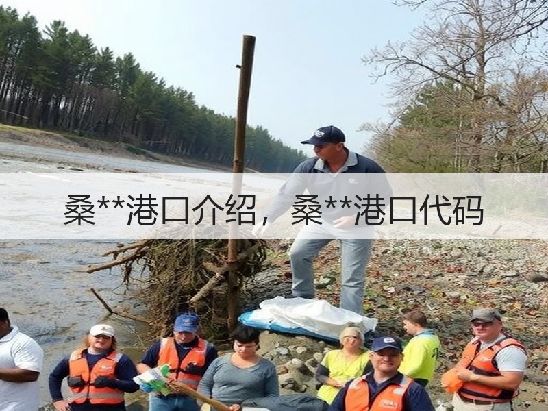 桑**港口介绍，桑**港口代码