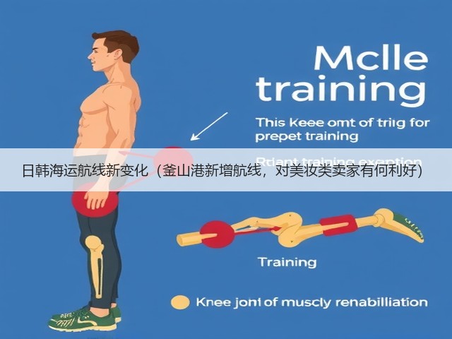 日韩海运航线新变化(釜山港新增航线,对美妆类卖家有何利好)(图1) 日韩海运航线新变化(釜山港新增航线,对美妆类卖家有何利好)(图1)