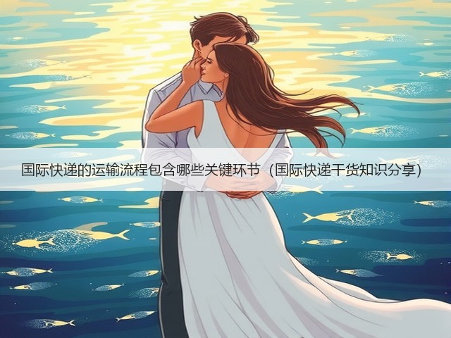 国际快递的运输流程包含哪些关键环节（国际快递干货知识分享）(图2)