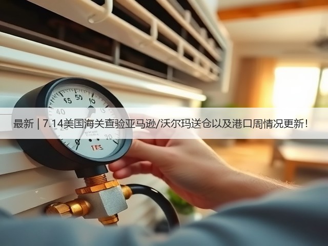 最新 | 7.14美国海关查验亚马逊/沃尔玛送仓以及港口周情况更新!(图3) 最新 | 7.14美国海关查验亚马逊/沃尔玛送仓以及港口周情况更新!(图3)