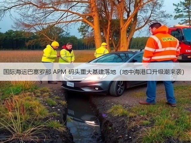 国际海运巴塞罗那 APM 码头重大基建落地(地中海港口升级潮来袭)(图3) 国际海运巴塞罗那 APM 码头重大基建落地(地中海港口升级潮来袭)(图3)