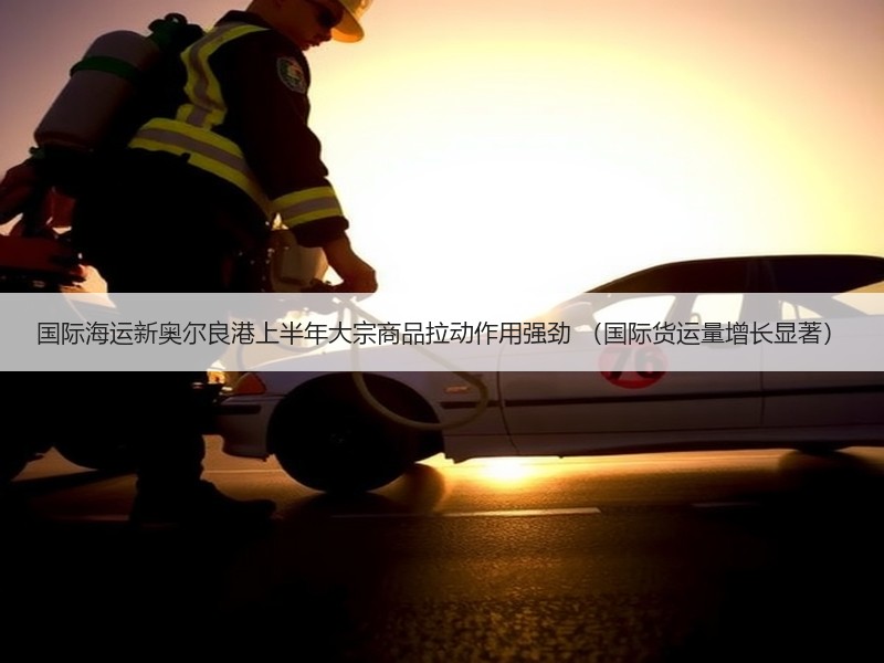 国际海运新奥尔良港上半年大宗商品拉动作用强劲 （国际货运量增长显著）
