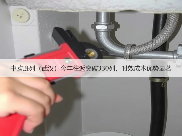 中欧班列(武汉)今年往返突破330列,时效成本优势显著(图1) 中欧班列(武汉)今年往返突破330列,时效成本优势显著(图1)