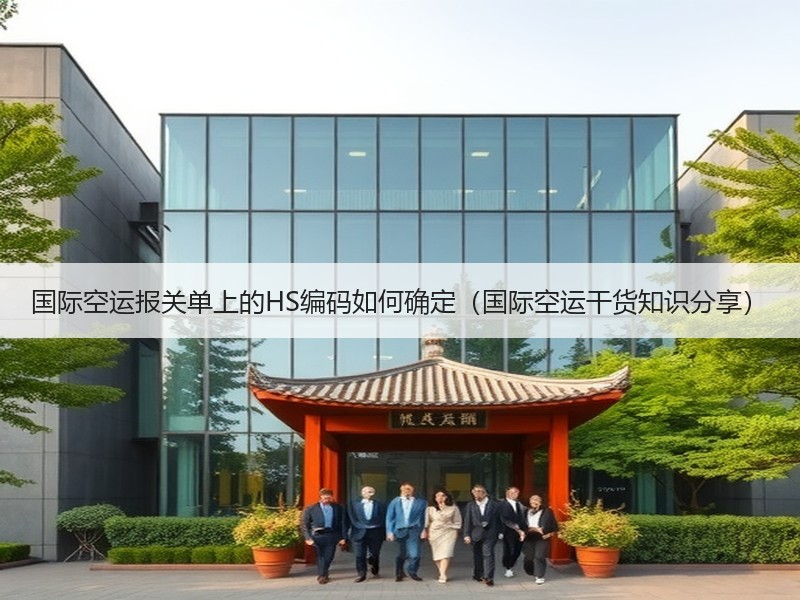 国际空运报关单上的HS编码如何确定（国际空运干货知识分享）