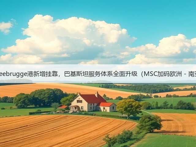 国际海运Zeebrugge港新增挂靠,巴基斯坦服务体系全面升级(MSC加码欧洲 - 南亚航线:)(图2) 国际海运Zeebrugge港新增挂靠,巴基斯坦服务体系全面升级(MSC加码欧洲 - 南亚航线:)(图2)