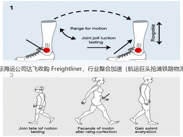 国际海运公司达飞收购 Freightliner，行业整合加速（航运巨头抢滩铁路物流）(图3)