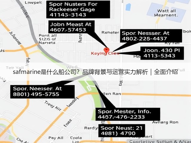 safmarine是什么船公司?品牌背景与运营实力解析|全面介绍(图3) safmarine是什么船公司?品牌背景与运营实力解析|全面介绍(图3)