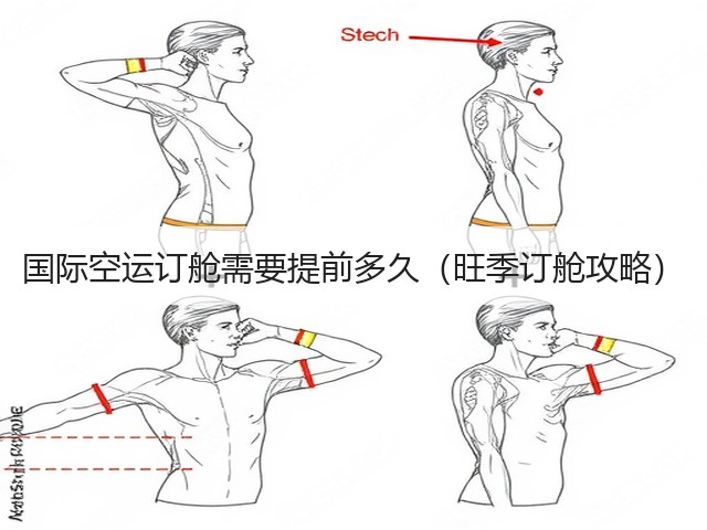 国际空运订舱需要提前多久(旺季订舱攻略)(图3) 国际空运订舱需要提前多久(旺季订舱攻略)(图3)