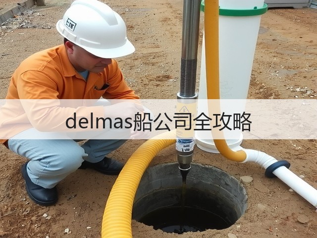 delmas船公司全攻略(图3) delmas船公司全攻略(图3)