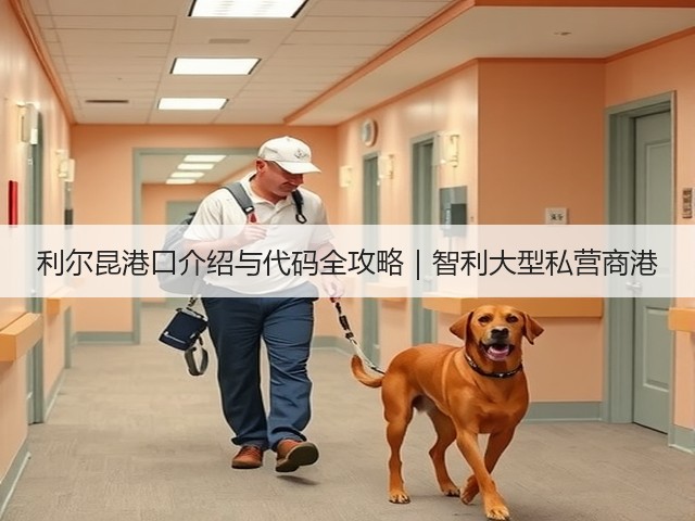 利尔昆港口介绍与代码全攻略|智利大型私营商港(图2) 利尔昆港口介绍与代码全攻略|智利大型私营商港(图2)