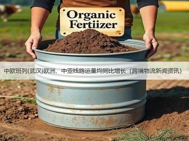 中欧班列(武汉)欧洲、中亚线路运量均同比增长(跨境物流新闻资讯)(图1) 中欧班列(武汉)欧洲、中亚线路运量均同比增长(跨境物流新闻资讯)(图1)