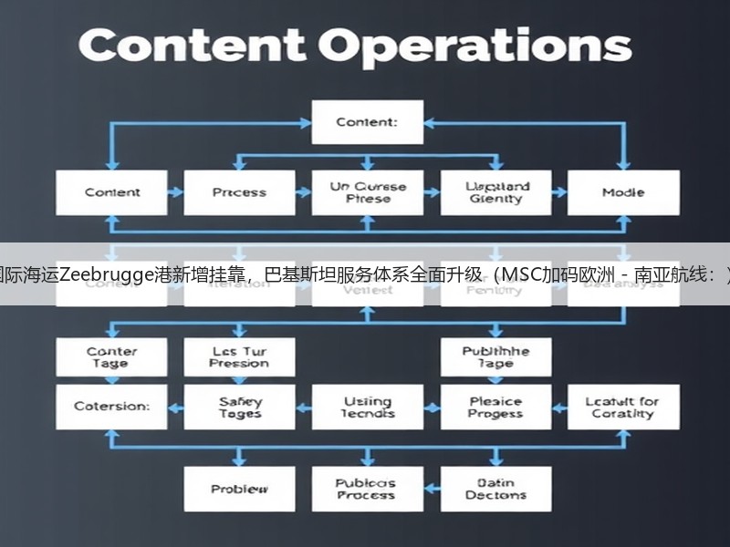 国际海运Zeebrugge港新增挂靠,巴基斯坦服务体系全面升级(MSC加码欧洲 - 南亚航线:) 国际海运Zeebrugge港新增挂靠,巴基斯坦服务体系全面升级(MSC加码欧洲 - 南亚航线:)