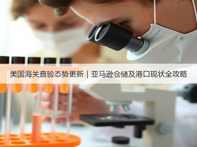美国海关查验态势更新｜亚马逊仓储及港口现状全攻略(图2)