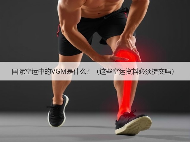 国际空运中的VGM是什么?(这些空运资料必须提交吗)(图2) 国际空运中的VGM是什么?(这些空运资料必须提交吗)(图2)