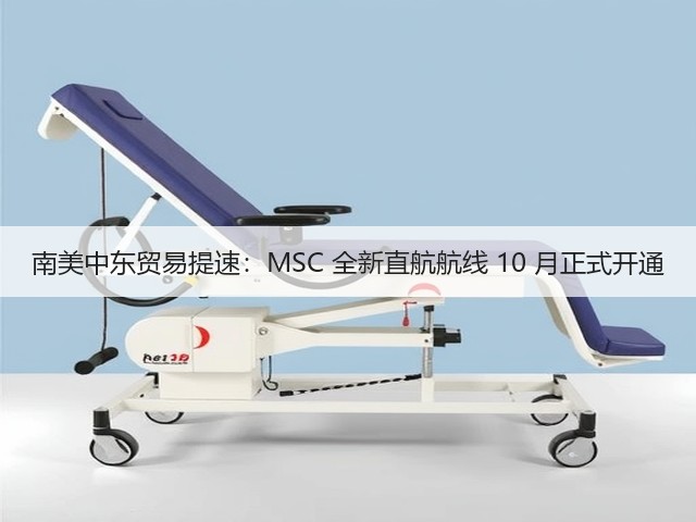南美中东贸易提速：MSC 全新直航航线 10 月正式开通(图1)