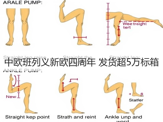 中欧班列义新欧四周年 发货超5万标箱(图2) 中欧班列义新欧四周年 发货超5万标箱(图2)