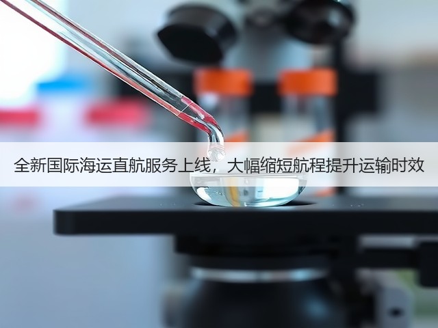 全新国际海运直航服务上线,大幅缩短航程提升运输时效(图3) 全新国际海运直航服务上线,大幅缩短航程提升运输时效(图3)