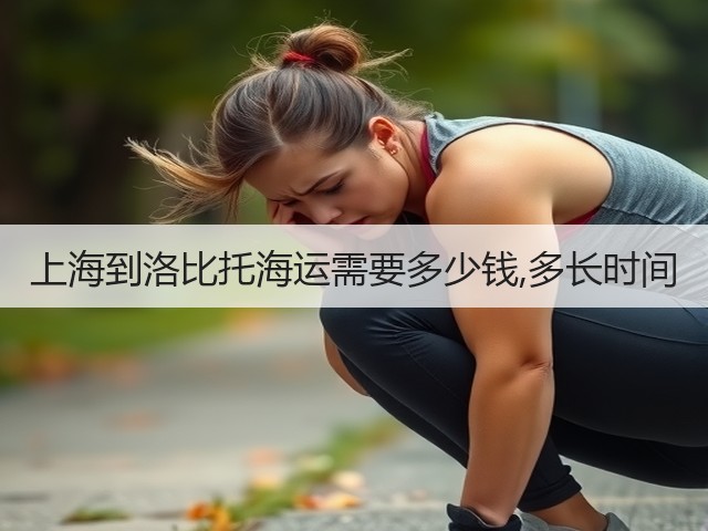 上海到洛比托海运需要多少钱,多长时间(图1)