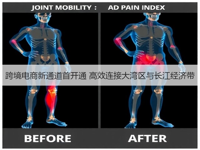 跨境电商新通道首开通 高效连接大湾区与长江经济带(图3)