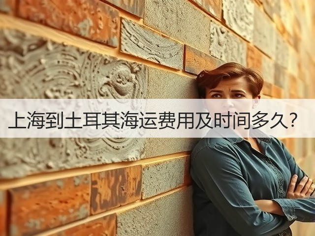 上海到土耳其海运费用及时间多久?(图3) 上海到土耳其海运费用及时间多久?(图3)