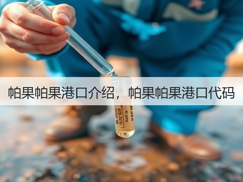 帕果帕果港口介绍，帕果帕果港口代码