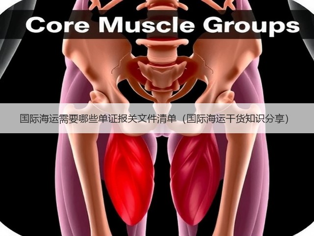 国际海运需要哪些单证报关文件清单(国际海运干货知识分享)(图3) 国际海运需要哪些单证报关文件清单(国际海运干货知识分享)(图3)