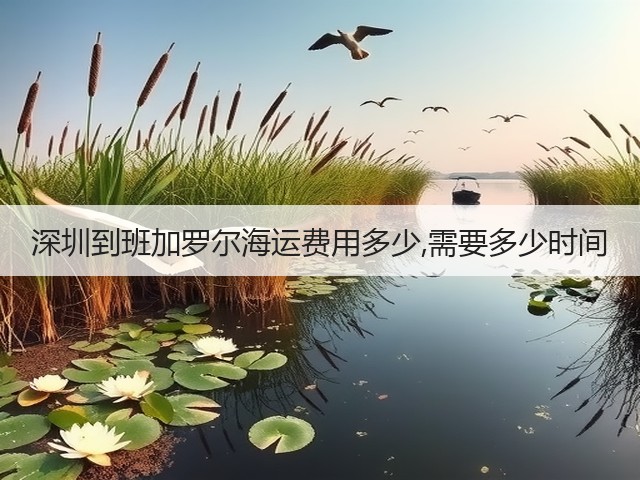 深圳到班加罗尔海运费用多少,需要多少时间(图2) 深圳到班加罗尔海运费用多少,需要多少时间(图2)