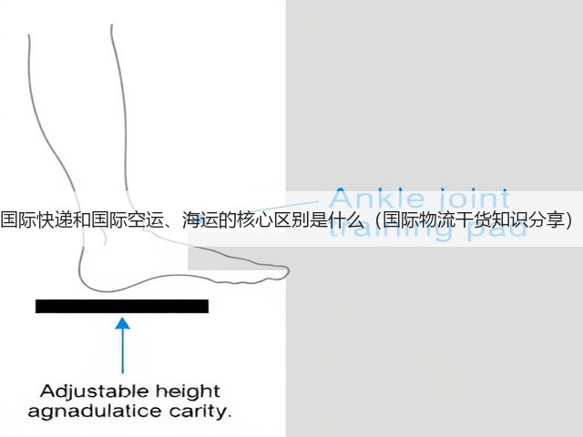 国际快递和国际空运、海运的核心区别是什么(国际物流干货知识分享)(图2) 国际快递和国际空运、海运的核心区别是什么(国际物流干货知识分享)(图2)