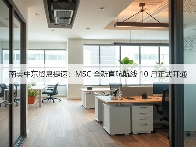 南美中东贸易提速:MSC 全新直航航线 10 月正式开通(图2) 南美中东贸易提速:MSC 全新直航航线 10 月正式开通(图2)