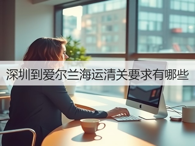 深圳到爱尔兰海运清关要求有哪些(图2)